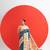Women rama art silk handloom saree