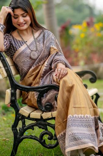 Women chiku art silk handloom saree