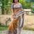 Women chiku art silk handloom saree