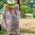 Women chiku art silk handloom saree