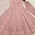 Anarkali Suit Set Peach Colour Gown Suit Set With Dupatta 