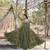 Pista faux georgette readymade anarkali suit with embroidery & sequin  work