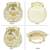 White ethnic embroidered potli bag for women fancy evening wristlet purse bag