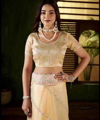 Beige jimmy choo fabric saree with multi thread embroidered work for women 5