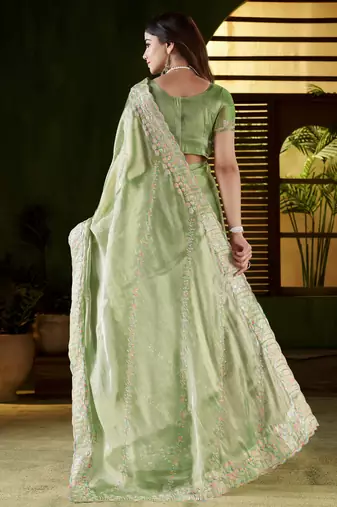 Pistagreen jimmy choo fabric saree with multi thread embroidered work for women