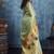 Pista zari tissue handloom weaving saree