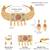 Gold plated faux ruby studded traditional ethnic necklace earrings set jewellery for women