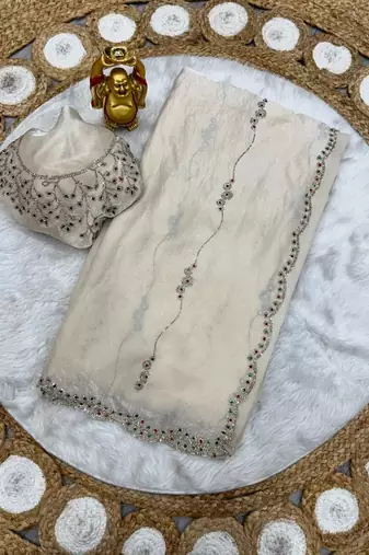 White space silk saree with jarkan & stone work