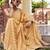 beige woven pure georgette designer pallu saree with blouse