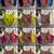 Navratri sky cotton thread kaudi hand mirror work corset style readymade blouse