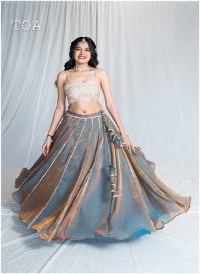 Elsa Blue Kanjivaram Ensemble Outfit 1