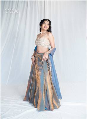 Elsa Blue Kanjivaram Ensemble Outfit 2