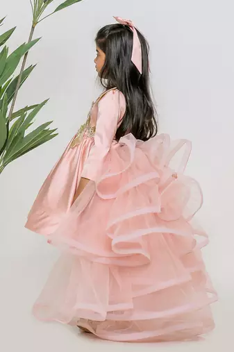 Peach embroidered satin net dress