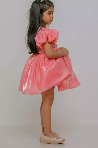 Peach embroidered jimmychoo organza frock