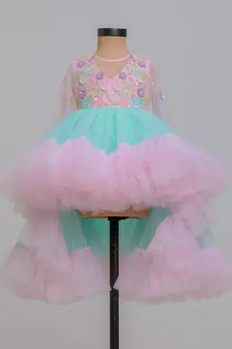 Pink blue embroidered net dress