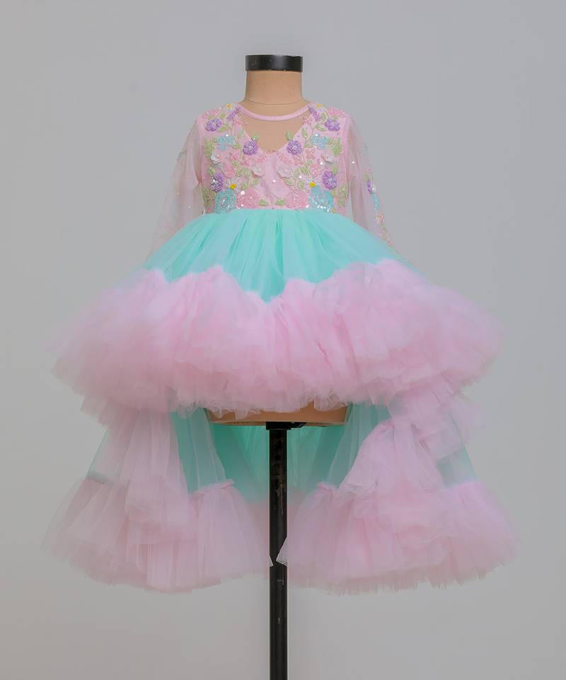 Pink blue embroidered net dress