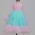 Pink blue embroidered net dress