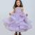 Purple horsehair stone net gown