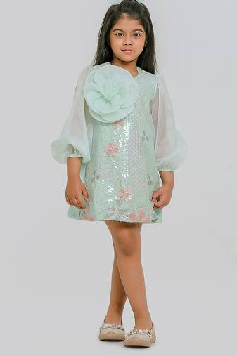 Sea green embroidered organza dress