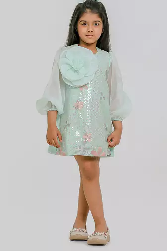 Sea green embroidered organza dress