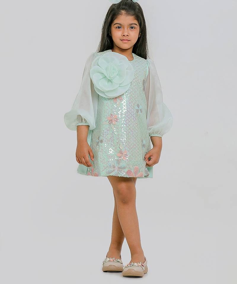 Sea green embroidered organza dress