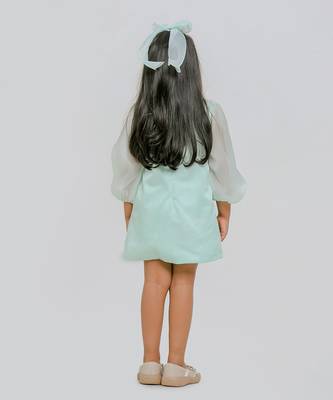 Sea green embroidered organza dress 2