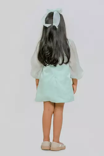 Sea green embroidered organza dress