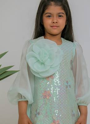 Sea green embroidered organza dress 3