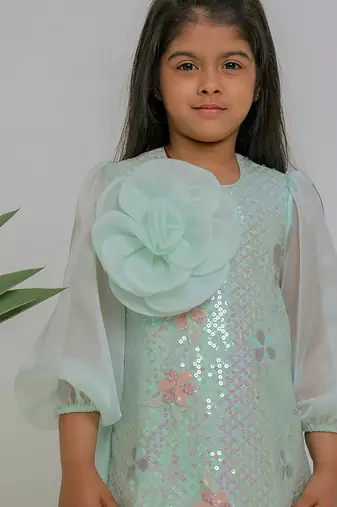 Sea green embroidered organza dress