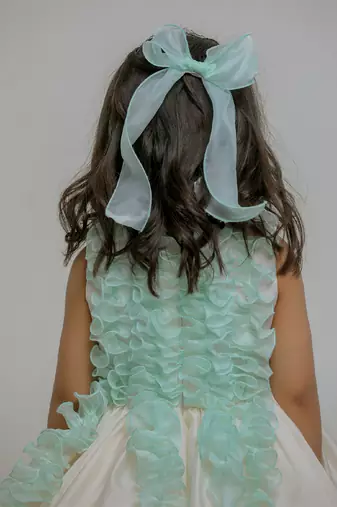 Ivory blue silk organza dress