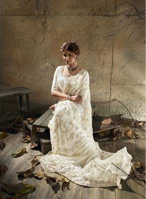 Ivory designer velvet satin embroidered saree with heavy blouse 3