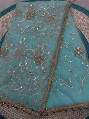 Sky blue designer net beads embroidery saree with unstitched blouse 5