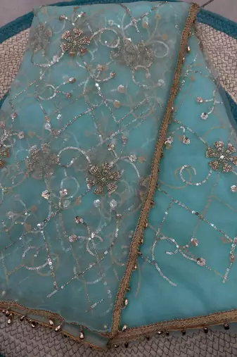 Sky blue designer net beads embroidery saree with unstitched blouse