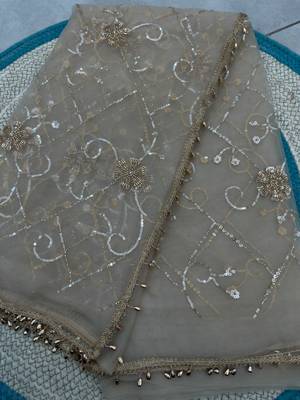 Beige designer net beads embroidery saree with unstitched blouse 4