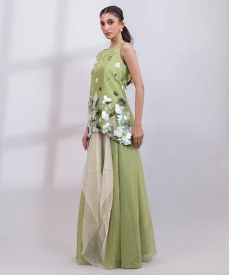 Pista green embroidered organza silk co ord set 2