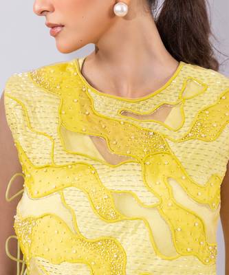 Lime yellow embroidered organza chinon co ord set 2