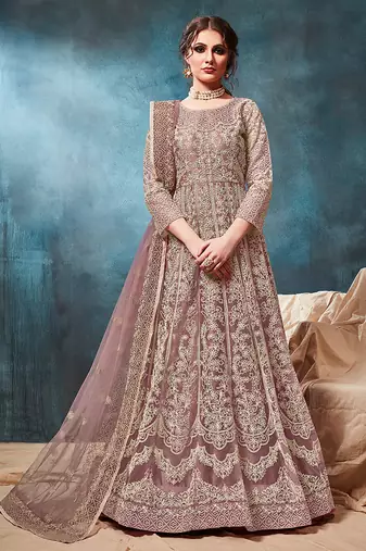 Net embroidered chikoo anarkali dress