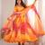 Multicolor organza printed flared gown set