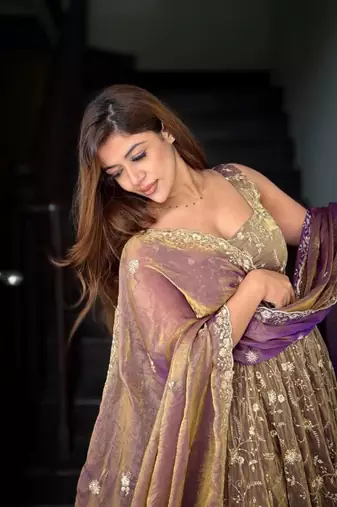 Champagne silk blend embroidered flared gown set