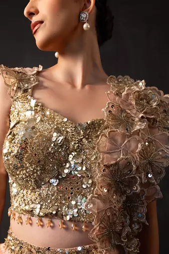 Rose Gold Embroidered Organza Chinon Lehenga Set