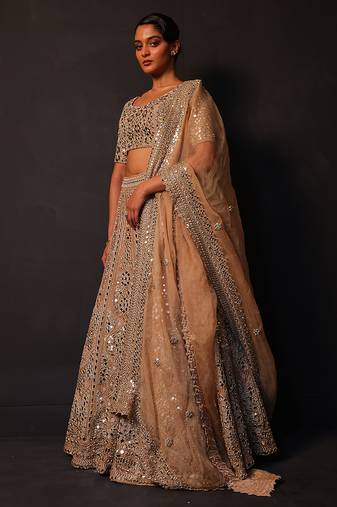 Champagne Gold Embroidered Silk Lehenga Set