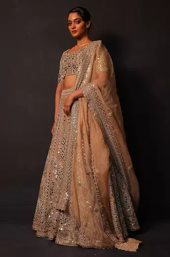 Champagne Gold Embroidered Silk Lehenga Set