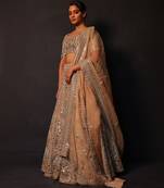 Champagne Gold Embroidered Silk Lehenga Set