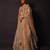 Champagne Gold Embroidered Silk Lehenga Set