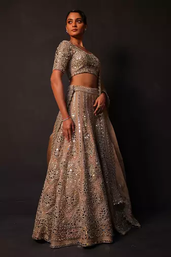 Champagne Gold Embroidered Silk Lehenga Set