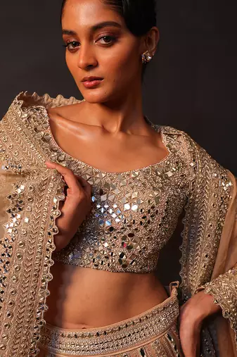 Champagne Gold Embroidered Silk Lehenga Set