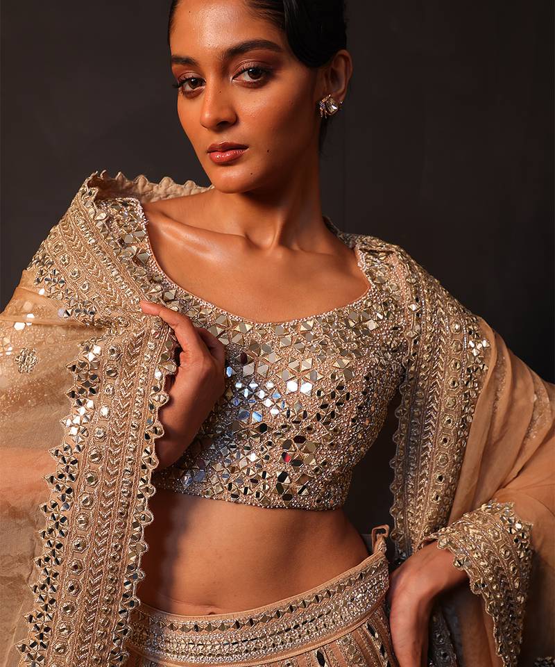 Champagne Gold Embroidered Silk Lehenga Set