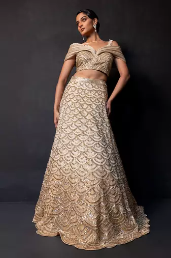 Champagne Gold Ombre Organza Satin Lehenga Set