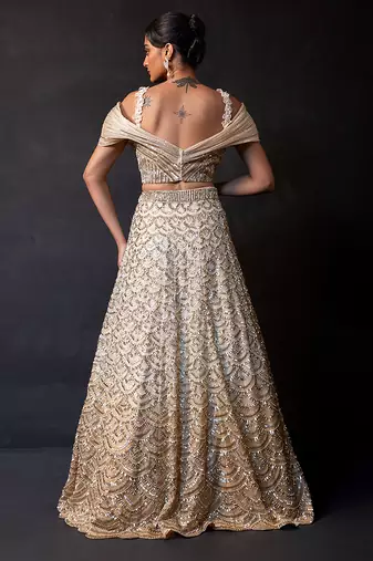 Champagne Gold Ombre Organza Satin Lehenga Set