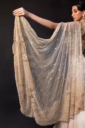 Champagne Gold Embroidered Satin Organza Lehenga Set